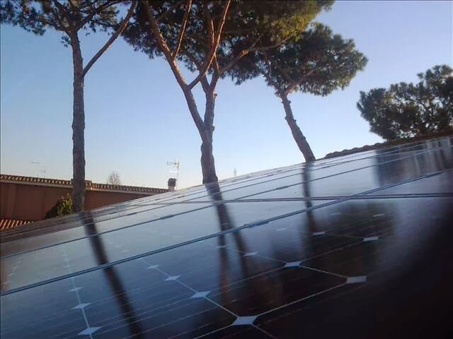 Paneles solares en un tejado rodeado de pinos