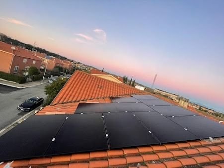 Paneles solares revisados y limpios